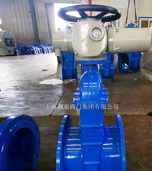 云南電動(dòng)法蘭閘閥生產(chǎn)廠(chǎng)家