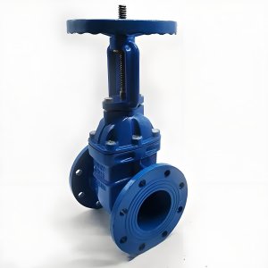 手動(dòng)閘閥Z41T-16 DN50/DN65廠家直銷，上海發(fā)